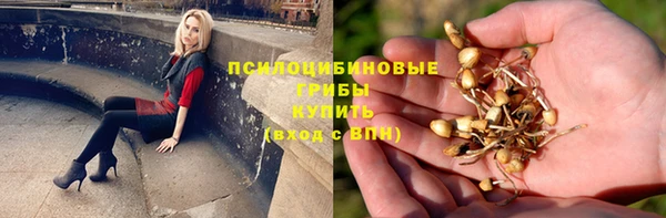твердый Зеленокумск